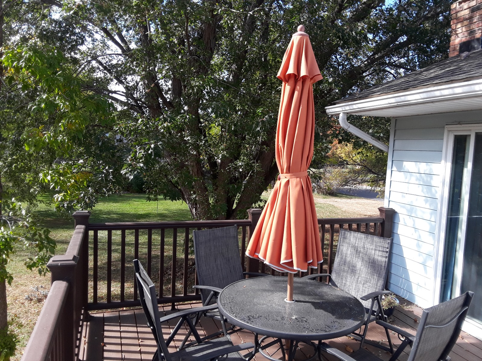 Daily enrichment activity